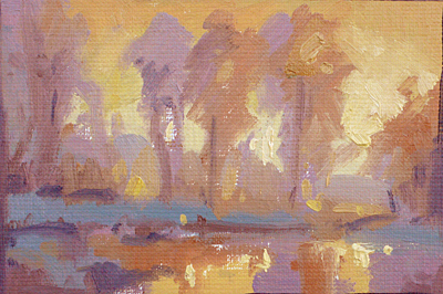 212b color study