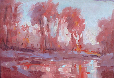 212c color study