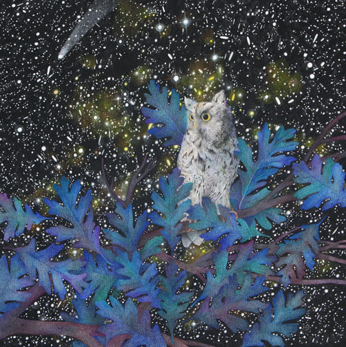 tam_feb12_klein3 Owl (watercolor and colored pencil, 201/4x201/4) by Karen Anne Klein
