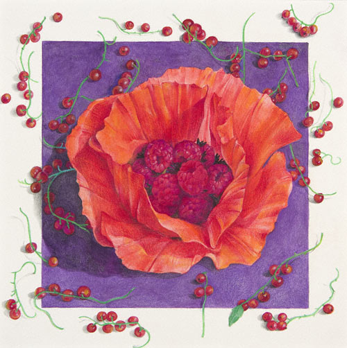 tam_feb12_klein4 Herbarium (watercolor and colored pencil, 201/2x201/2) by Karen Anne Klein