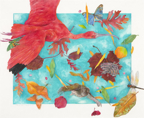 tam_feb12_klein5 Scarlet Ibis (watercolor and colored pencil, 193/4x241/4) by Karen Anne Klein