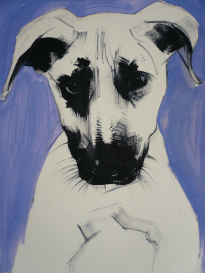 dog art, pictures of dogs, Sally Muir art, acrylic painting