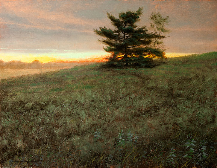 White Pine at Sunset - Proverbs 16:21by Thomas Kegler, oil on linen, 16 x 20.