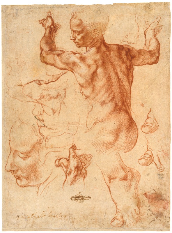 Studies for the Libyan Sybil Studies for the Libyan Sybil, by Michelangelo, ca. 1510–1511, red chalk, with small accents of white chalk, 11 3/8 x 8 7/16. Collection The Metropolitan Museum of Art, New York, New York.