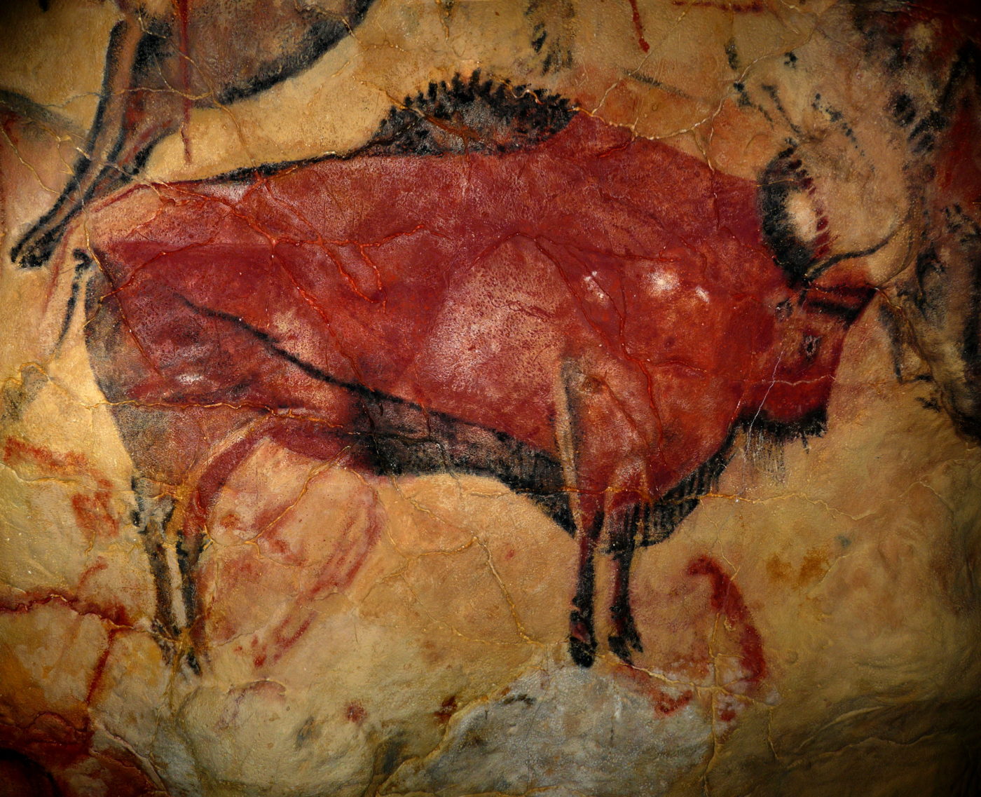 A painting of a bison from the cave of Altamira in Spain, created with red ochre between 15,000 and 16.500 BC.