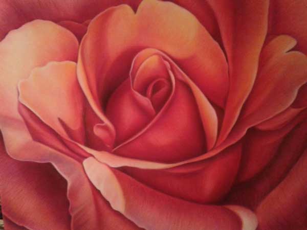 How to draw a rose