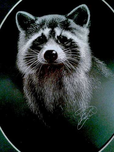 Scratchboard drawing techniques