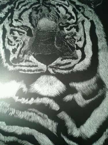 Scratchboard art