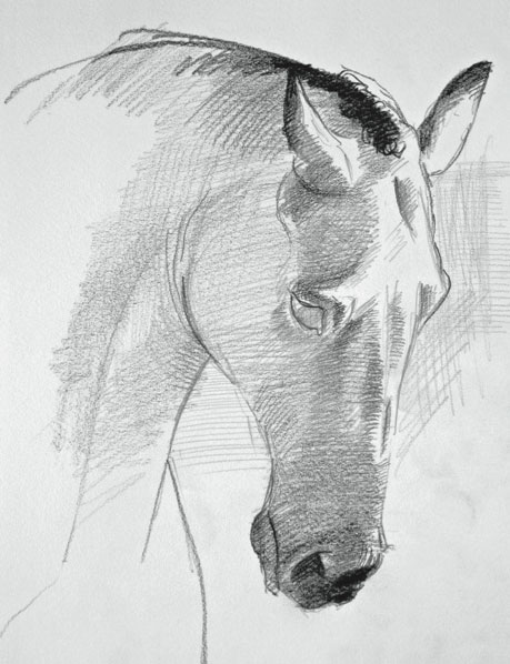 How to draw a horse, demo by David Sanmiguel