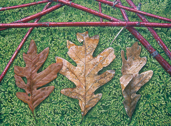 Rick-Pas-Dogwood-Oak