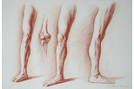 Drawing bodies--three studies of the leg by Ephraim Rubenstein