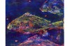 Ayres Three Fish Printmaking