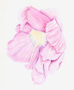 Step-by-step watercolor tutorial on using the wet-in-wet watercolor-pencil technique, step 3-4.