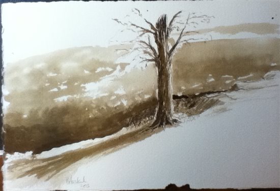 Homebrew black walnut ink sketch on Lanaquerelle by Robert Haslach, 2013.