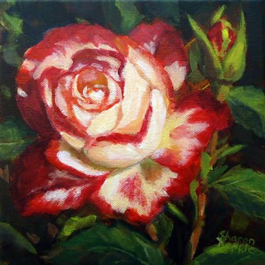 Red-Tip-pastel-katherine Irish