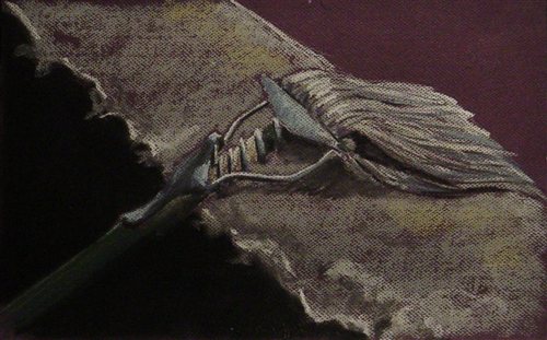 Trap by Mary Whyte, watercolor painting.
