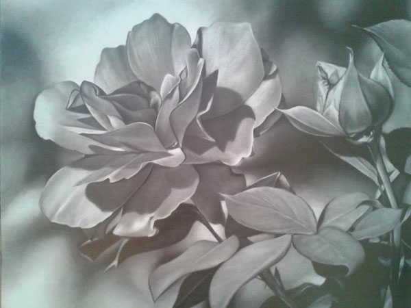 Tips for drawing flowers, from Lee Hammond | ArtistsNetwork.com