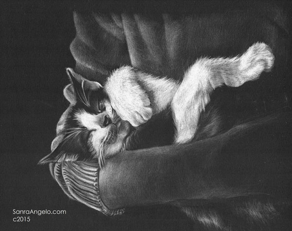 How to draw cats, by Sandra Angelo | ArtistsNetwork.com