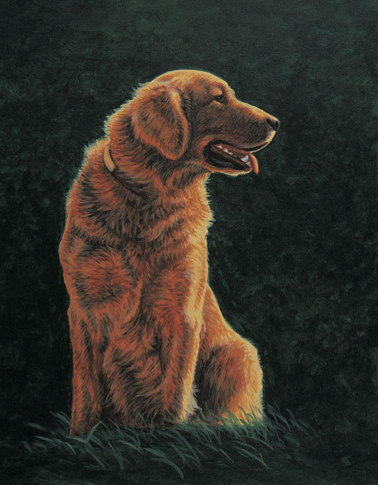 How to paint dogs, with Jeanne Filler Scott | ArtistsNetwork.com