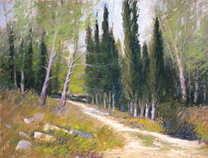 Pastel drawing for beginners | Elizabeth Mowry, ArtistsNetwork.com