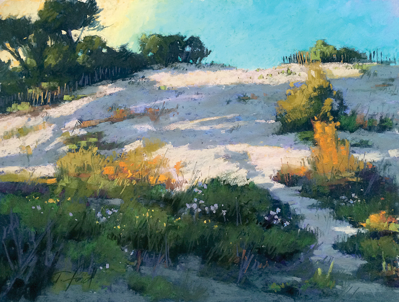 Terri-Ford-Dune-Shadows-pastel