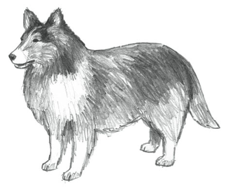 How to draw a dog | Mark and Mary Willenbrink, ArtistsNetwork.com