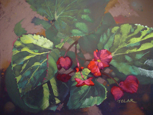 Morning Begonias (pastel, 11x14) by Jude Tolar | pastel florals