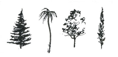 Sketching in Sweet, Sweet Summer | How to Draw Trees - Artists Network