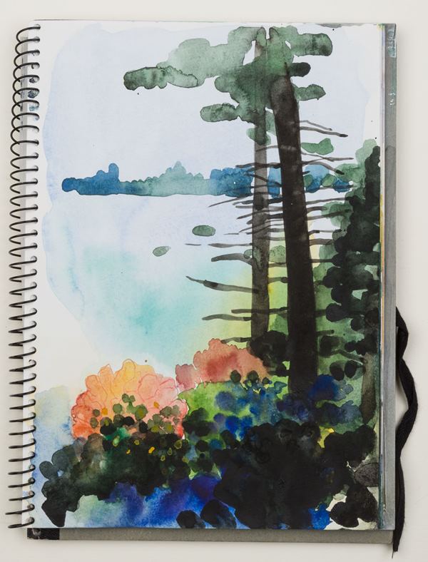 Elizabeth Osborne | Sketching Techniques | Artist's Network