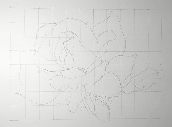 How to draw a rose | Lee Hammond, ArtistsNetwork.com