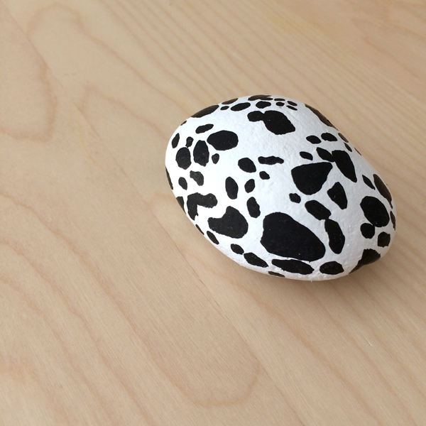 painted pet rock