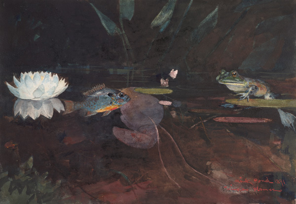 Top 20 Watercolorists | Andrew Wyeth | Artist Daily | Andrew Wyeth's 100 Year Birthday