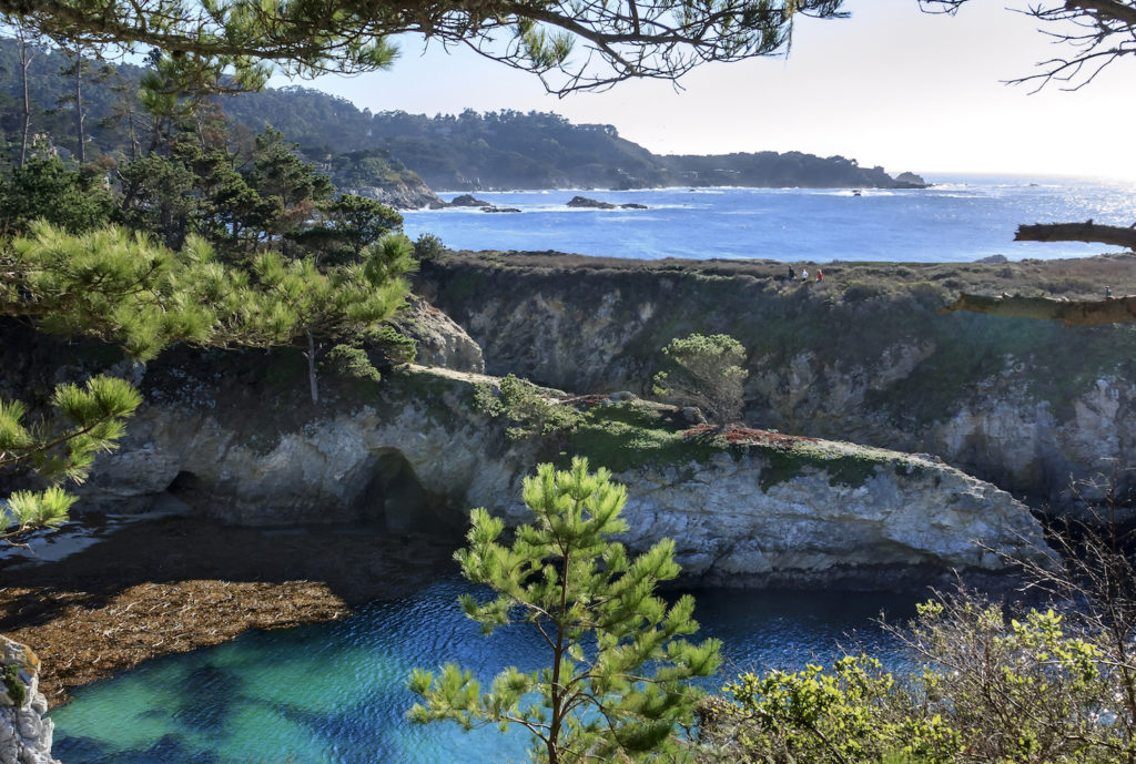 Point Lobos State Natural Reserve, California, photo by Getty Images | 10 Places to Paint en Plein Air | Artists Network
