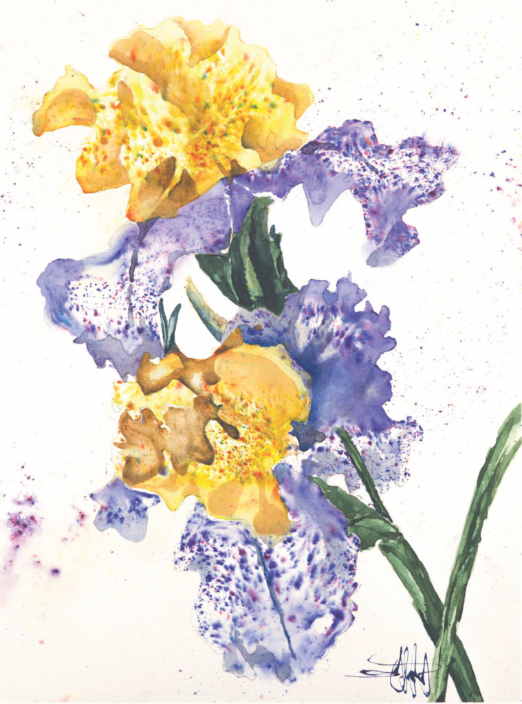 Danny’s Taunt by Ward Jene Stroud, Brusho and watercolor on paper | Brusho Basics: How to Add Quick Pops of Color to Your Art