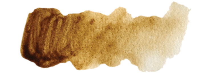 Sepia--watercolor