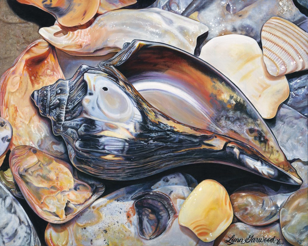 Magic Shell by Lynn Garwood | The Best of Still Life Artwork: 15 Winning Acrylic Paintings to Know from Acrylic Works 5 | Artists Network