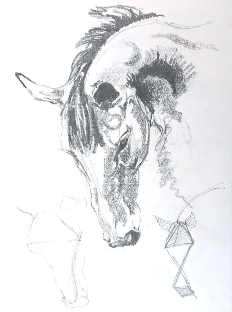 drawing ideas for beginners, linear drawing