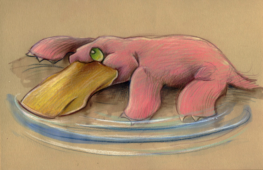 Artists, Do You See Faces in Things Like These? pareidolia platypus 2